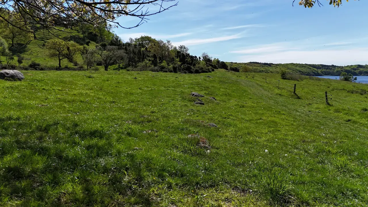 Steinreihen und Opfermoore