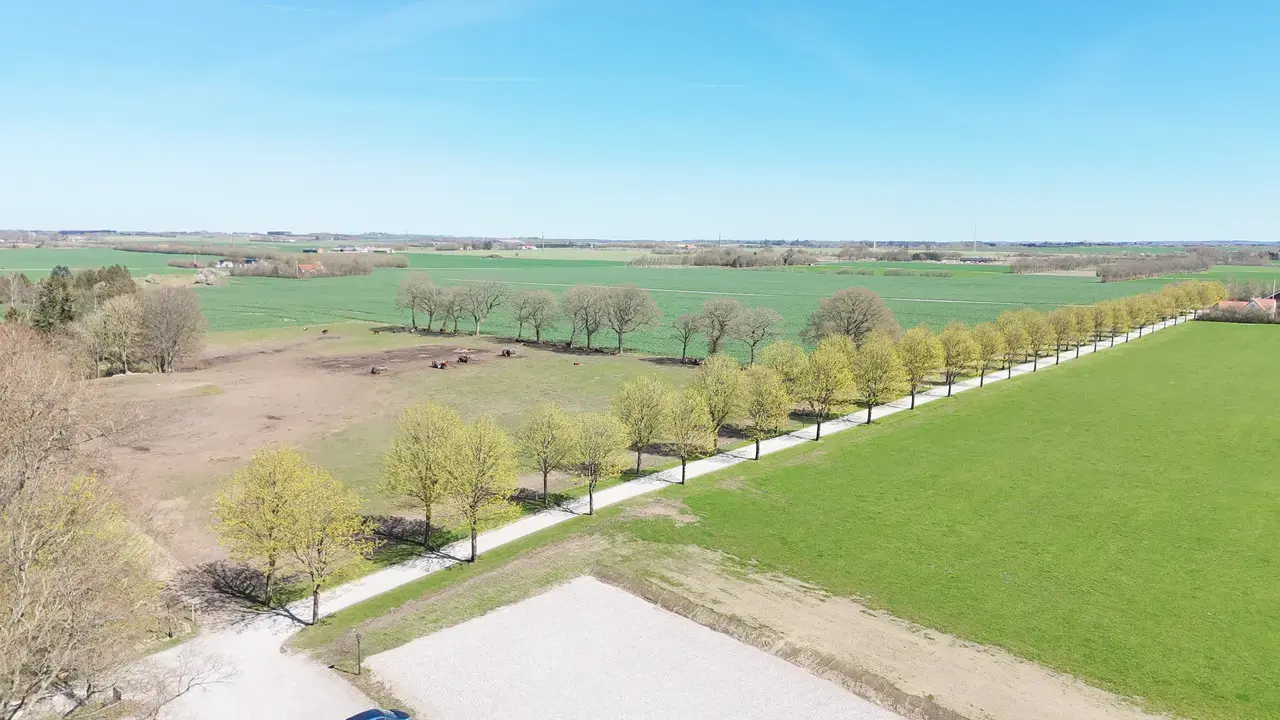 Der Parkplatz an der Allee 