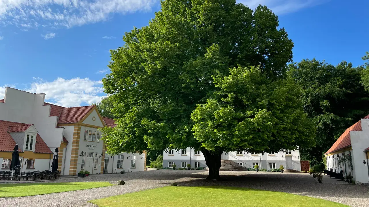 Rückkehr zum Hotel BramslevGaard