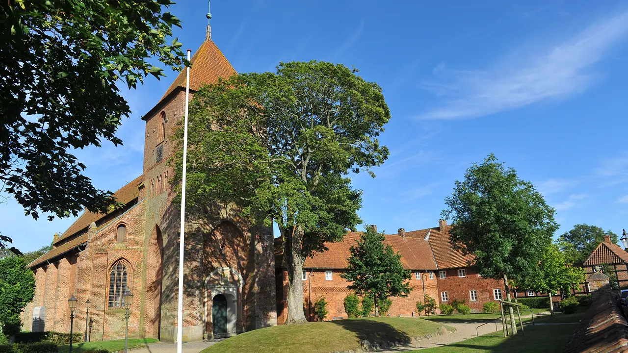 Sct. Catharinæ