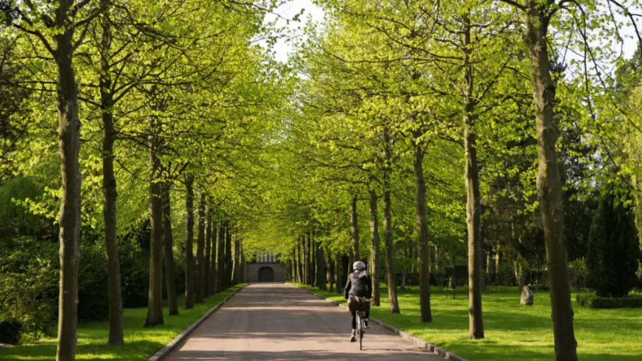 Copenhagen's largest cemetery