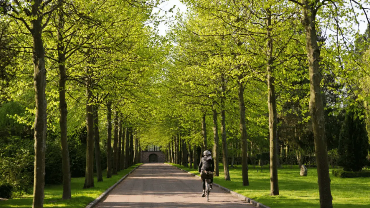 Københavns største kirkegård