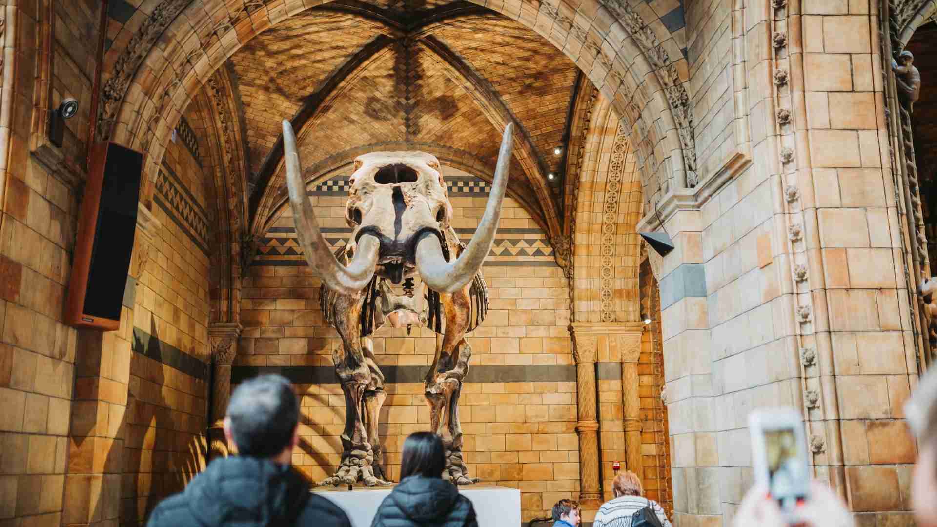 Top Things To Do in Kensington