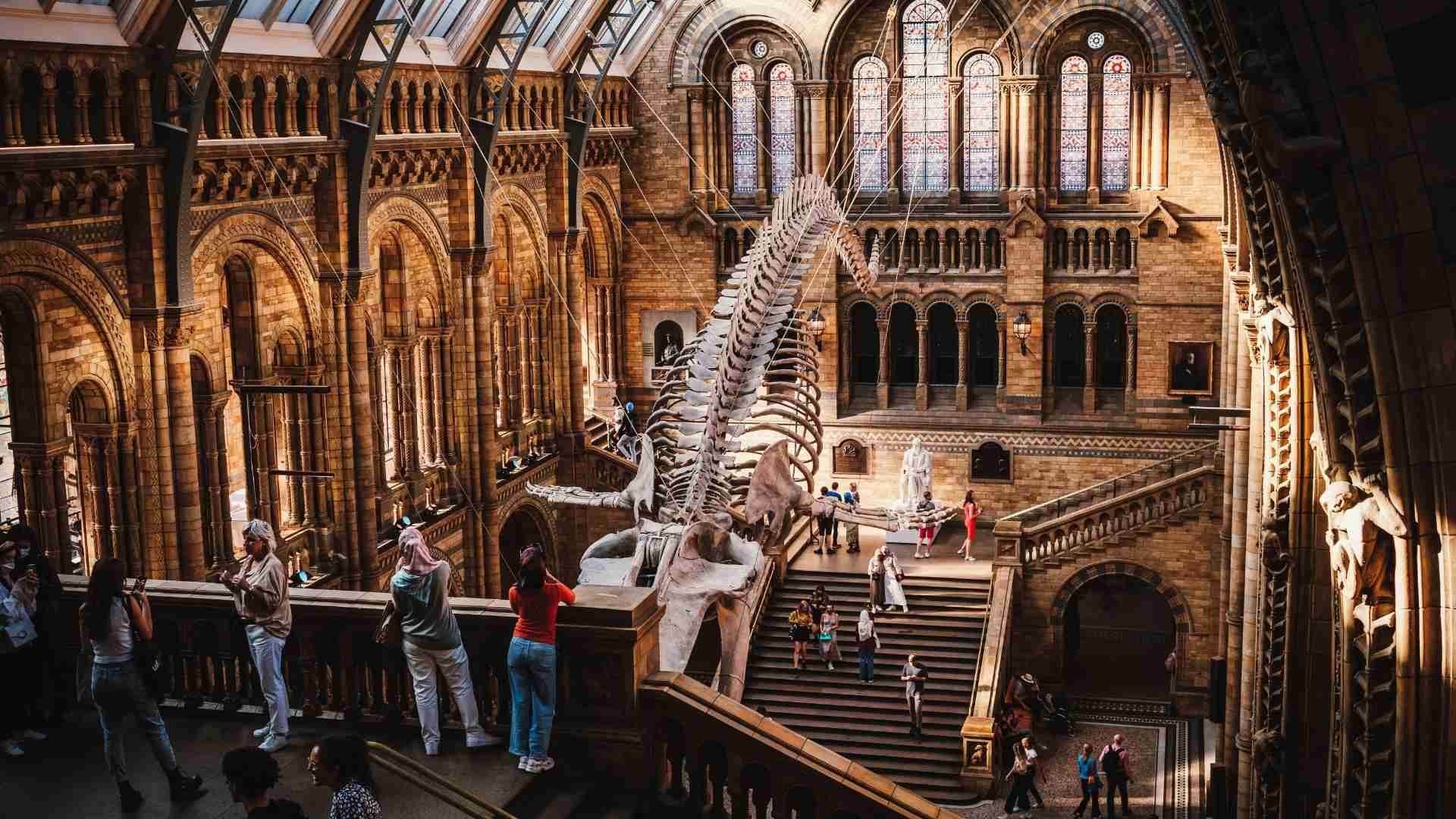 Natural History Museum