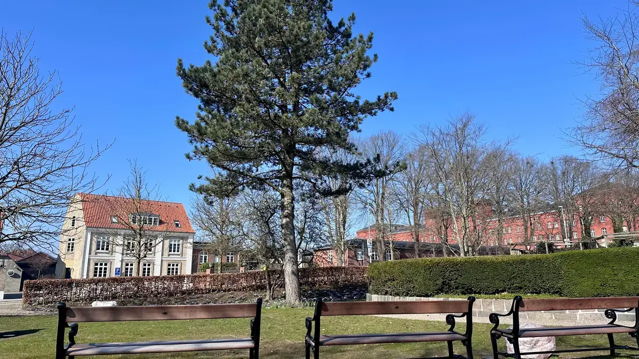 DIE MELODIE DER HOFFNUNG