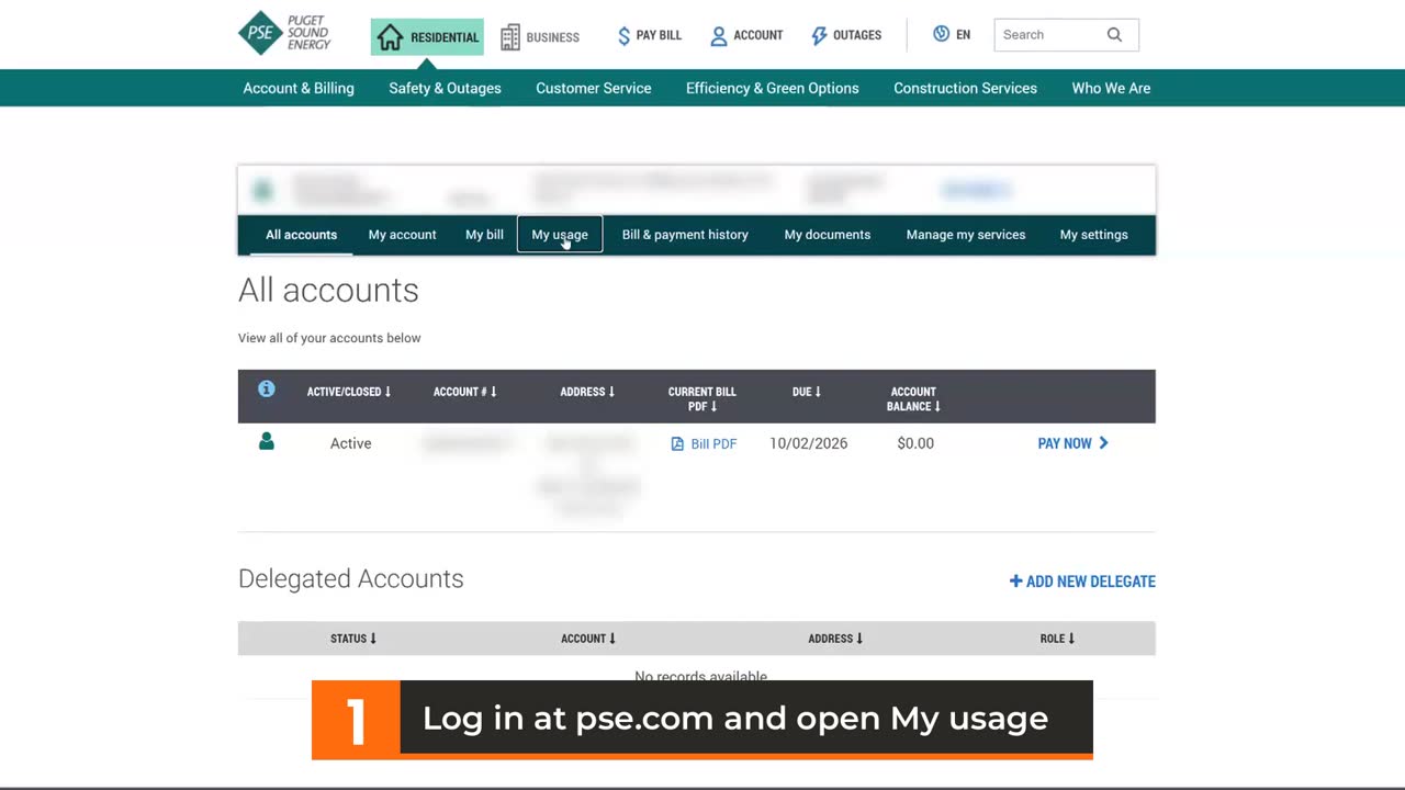 PSE account dashboard with My usage selected