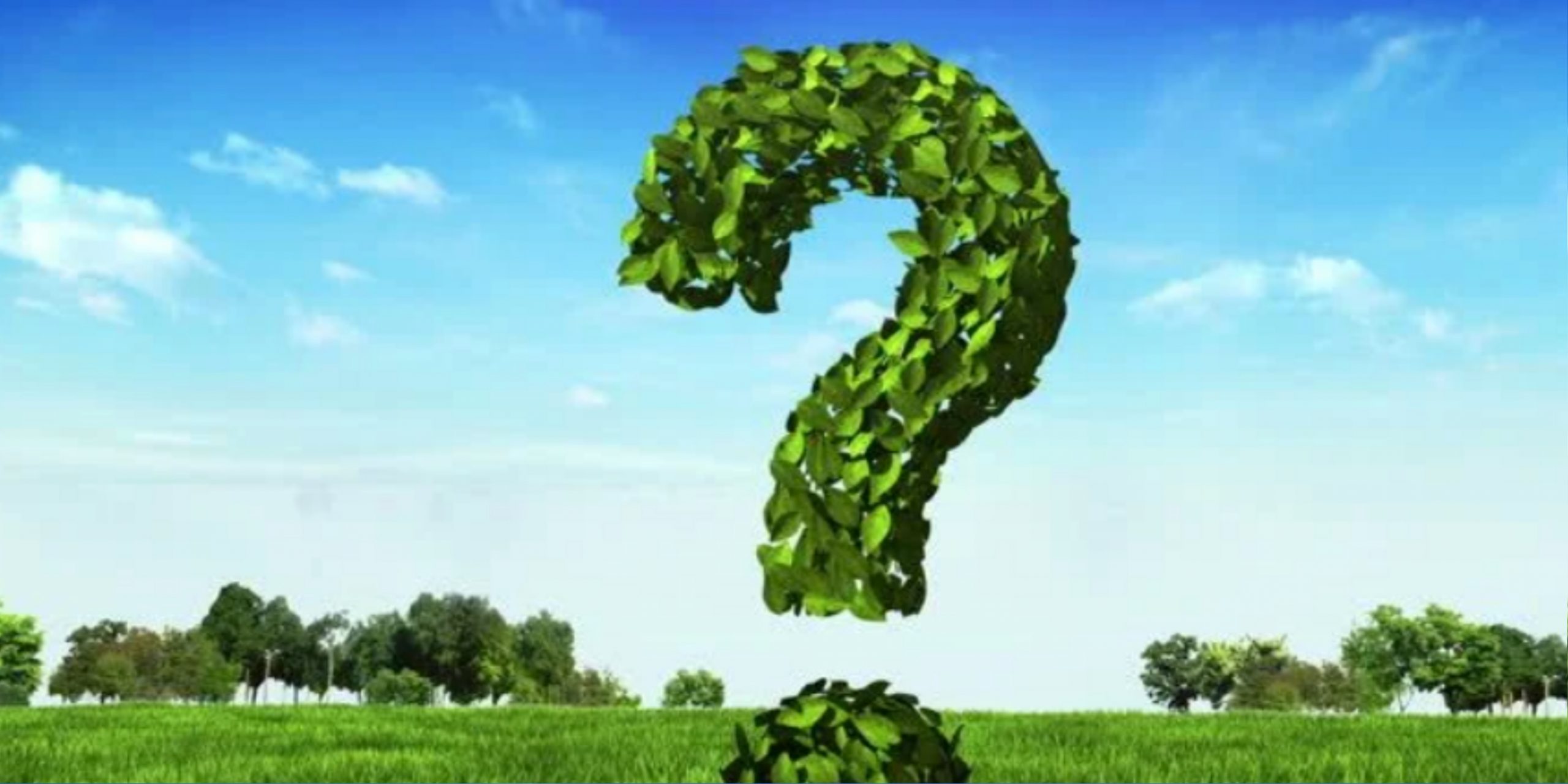 What Is Field Marketing? Complete Guide for Brands
