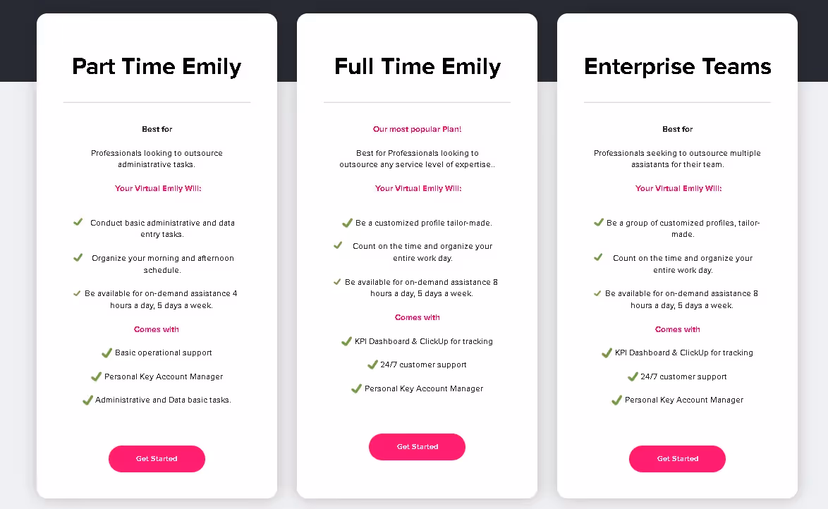 costs of Virtual Emily