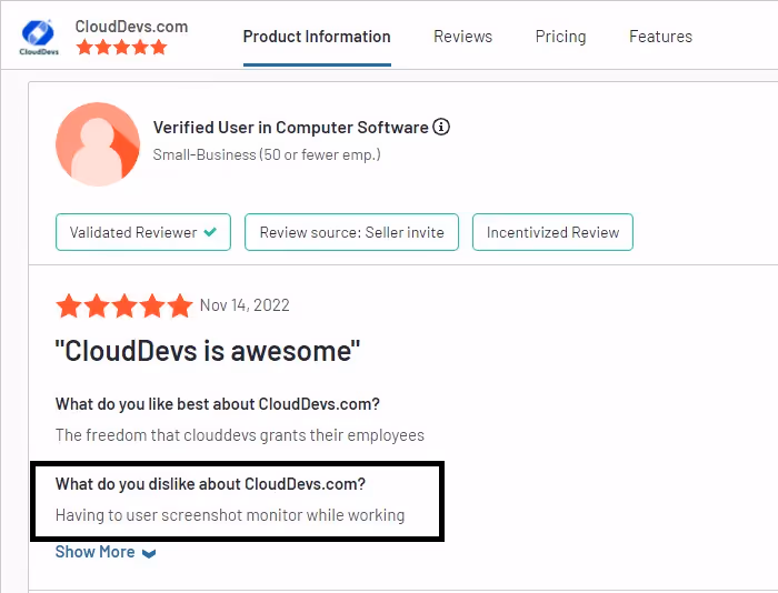 CloudDevs review