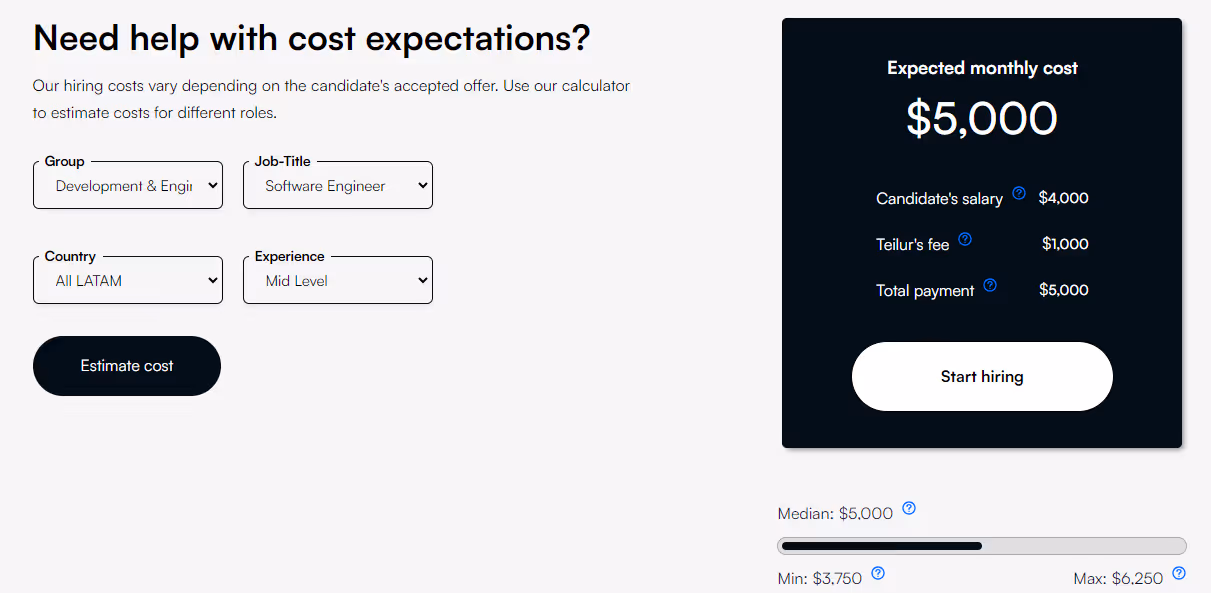 cost of hire programmers