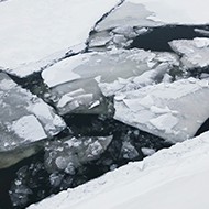 Ice