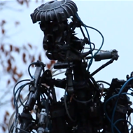 Robots