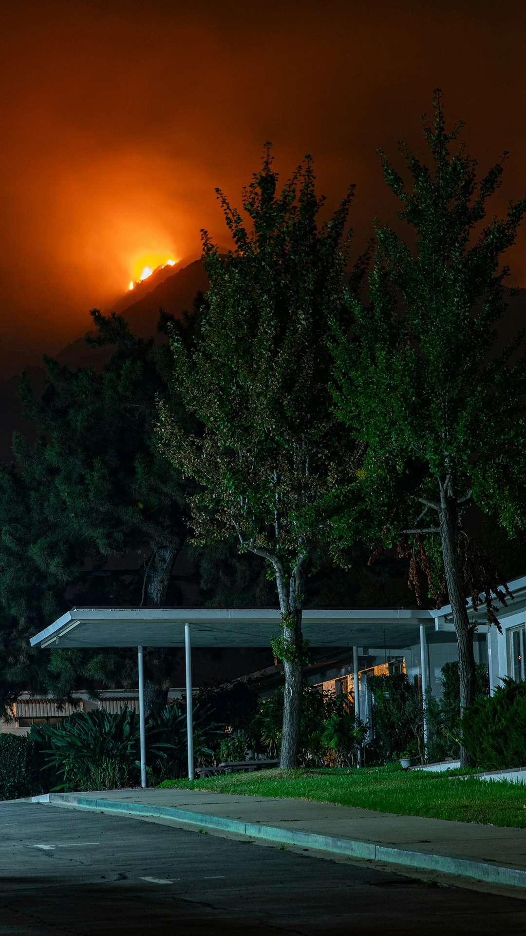 Get Real-Time Critical Disaster Information