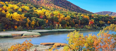 Its Fall Y'all! WIPN Friendsgiving Event