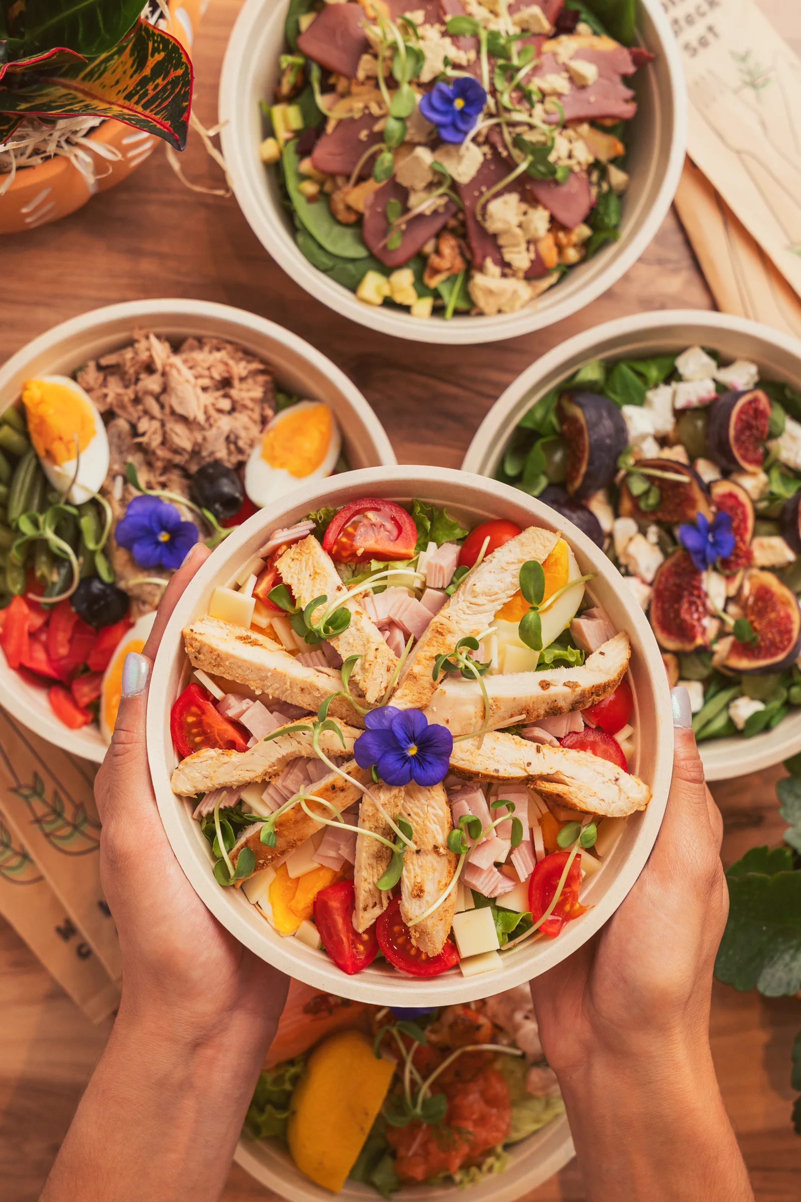 Colorful salads for take-away in a restaurant