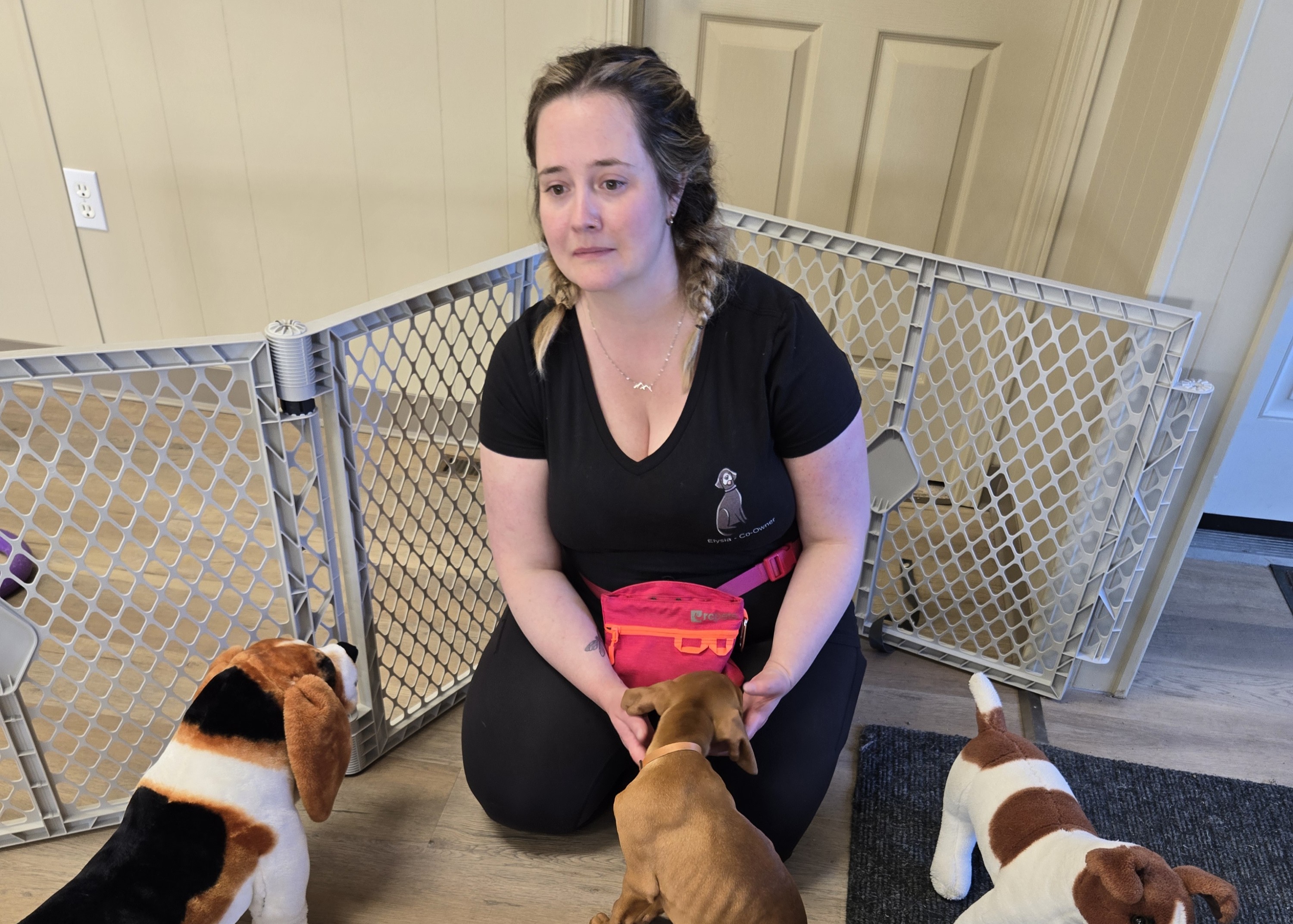 a dog sitting in a kennel. A dog getting groomed by its owner