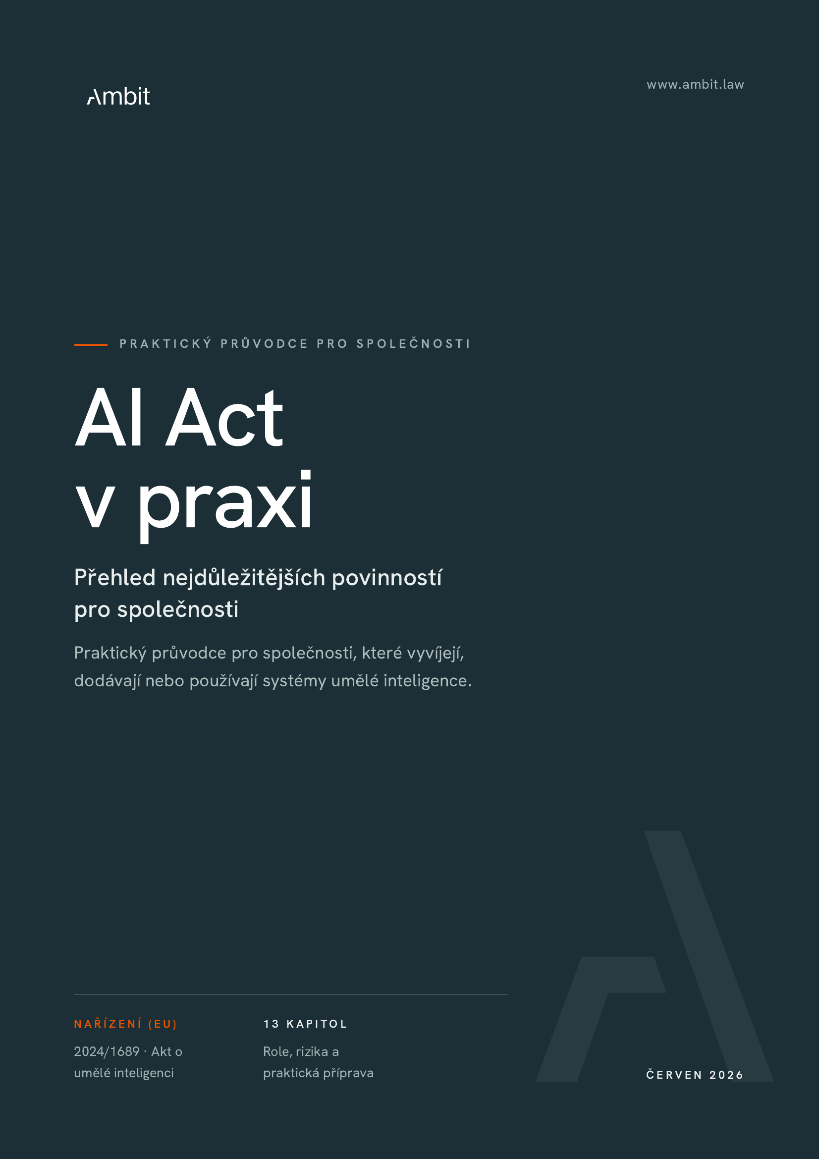 AI Act v praxi