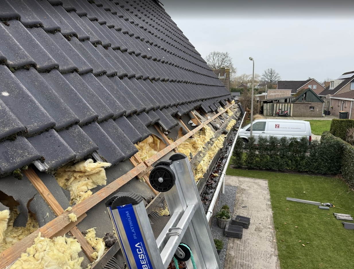 Isolatie schade door steenmarter in woonhuis onder dakpannen