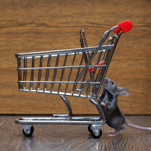 Huismuis bij een winkelkarretje als illustratie bij muizenoverlast in supermarkten