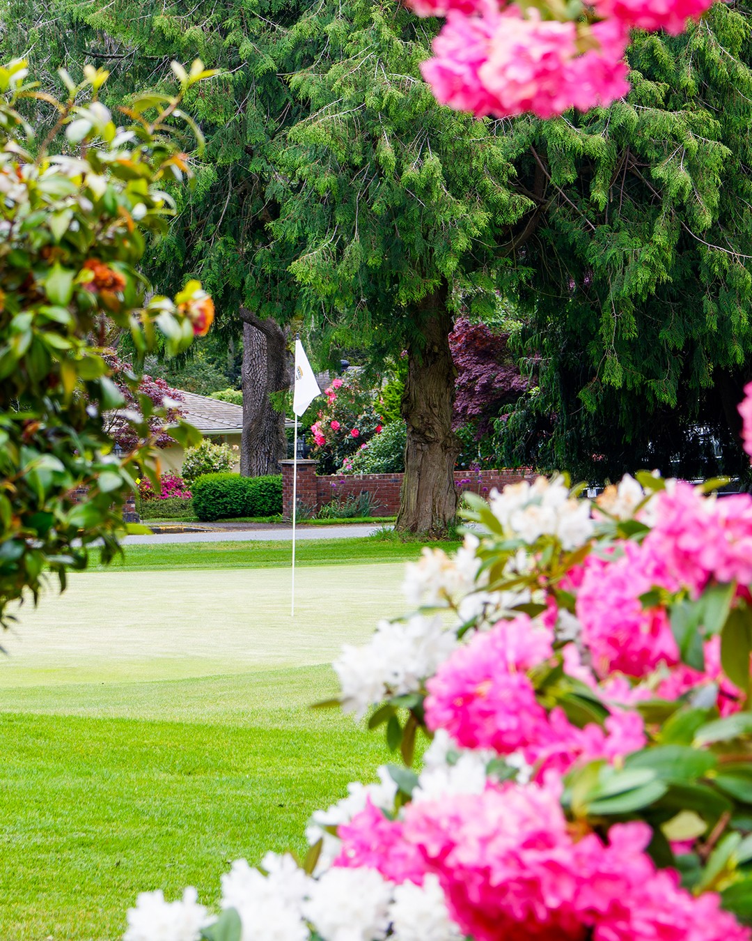 Photography Services - Uplands Golf Club - Victoria, British Columbia