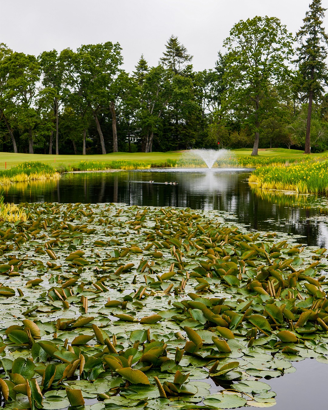 Photography Services - Uplands Golf Club - Victoria, British Columbia