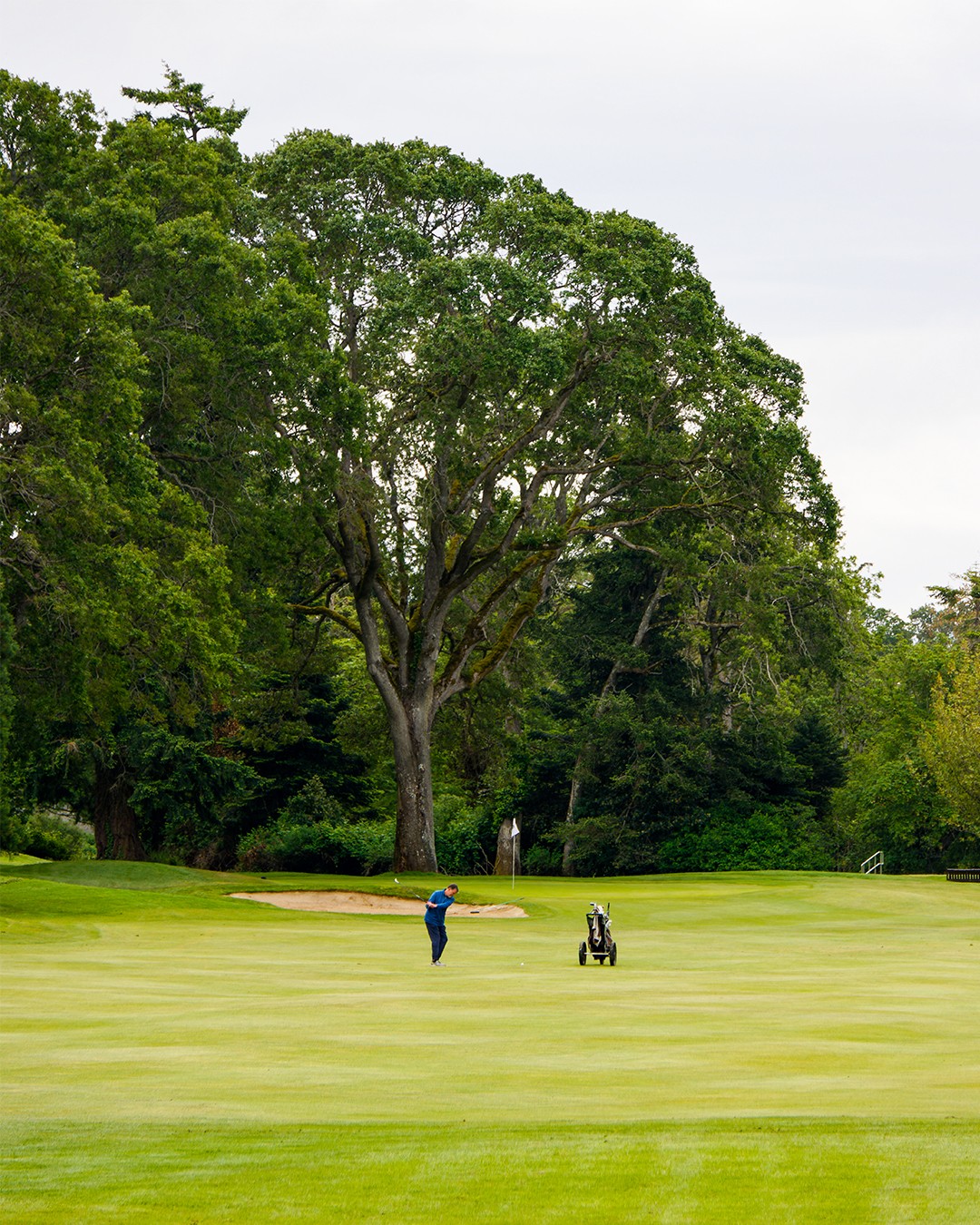 Photography Services - Uplands Golf Club - Victoria, British Columbia