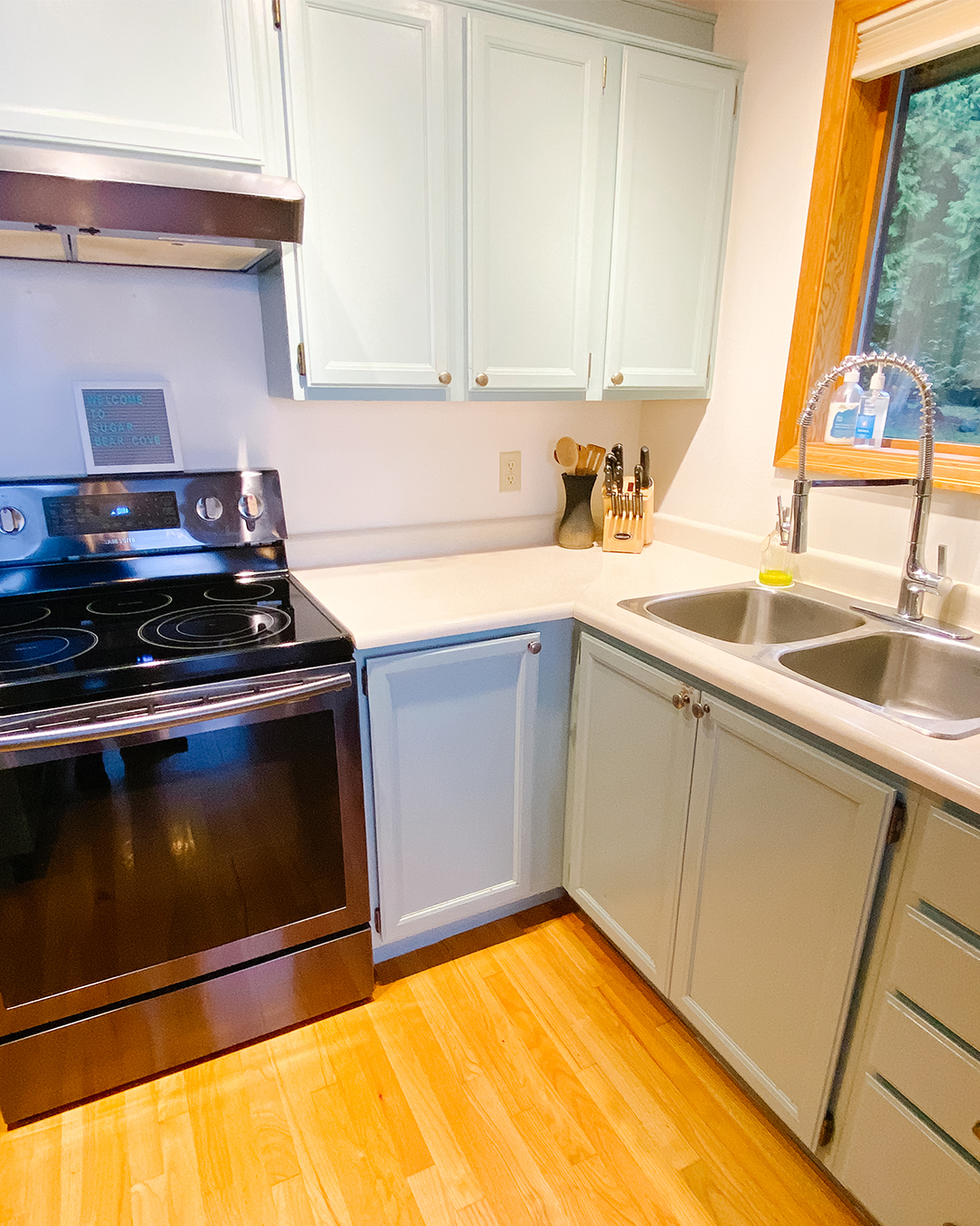 Sugar Bear Cove - Shirley, British Columbia - Very Good Media