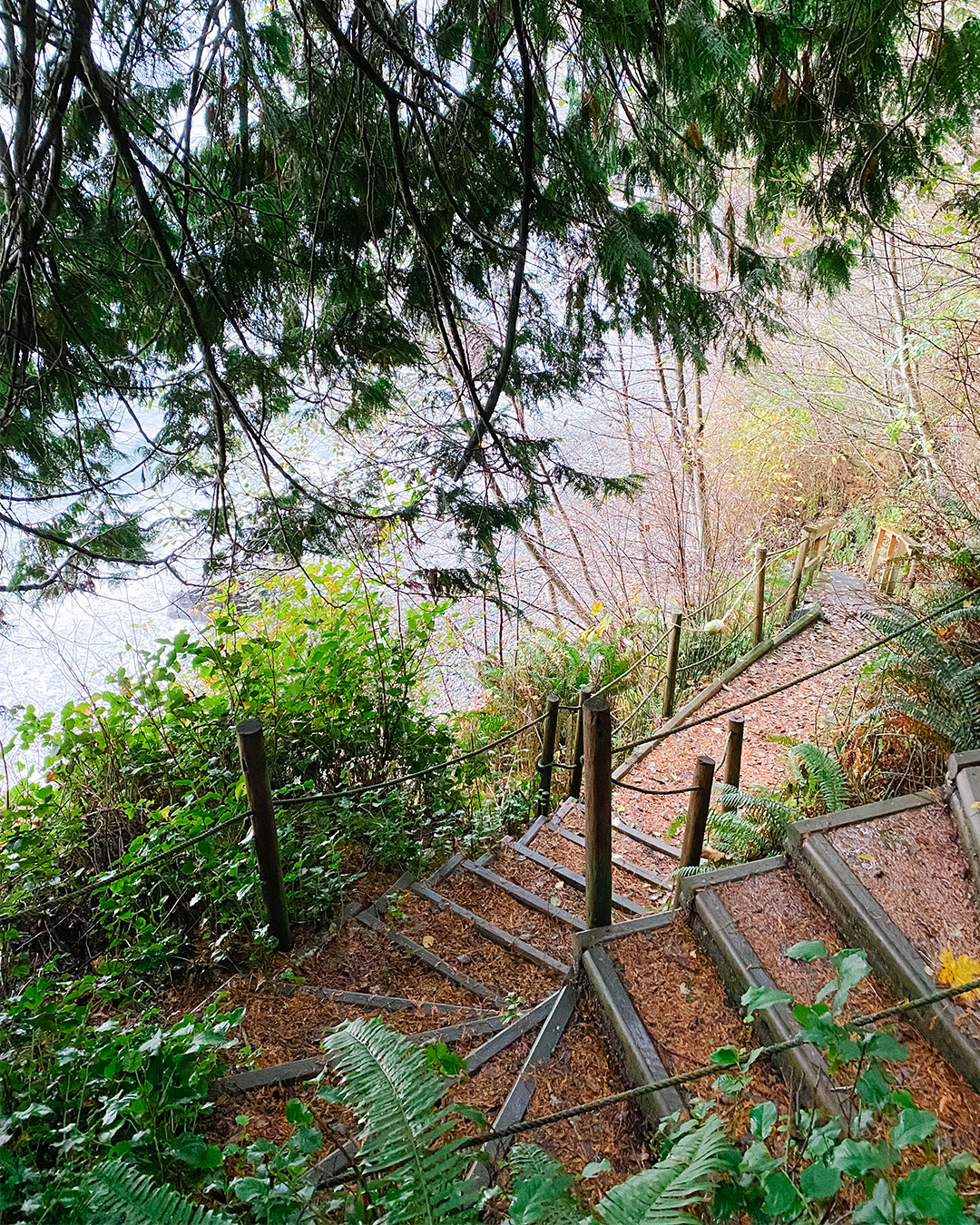 Sugar Bear Cove - Shirley, British Columbia - Very Good Media