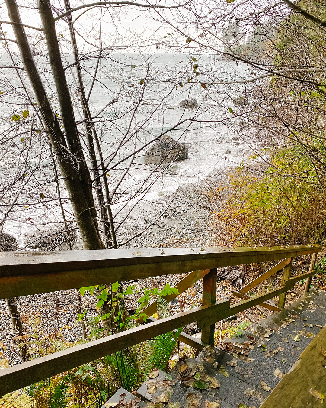 Sugar Bear Cove - Shirley, British Columbia - Very Good Media