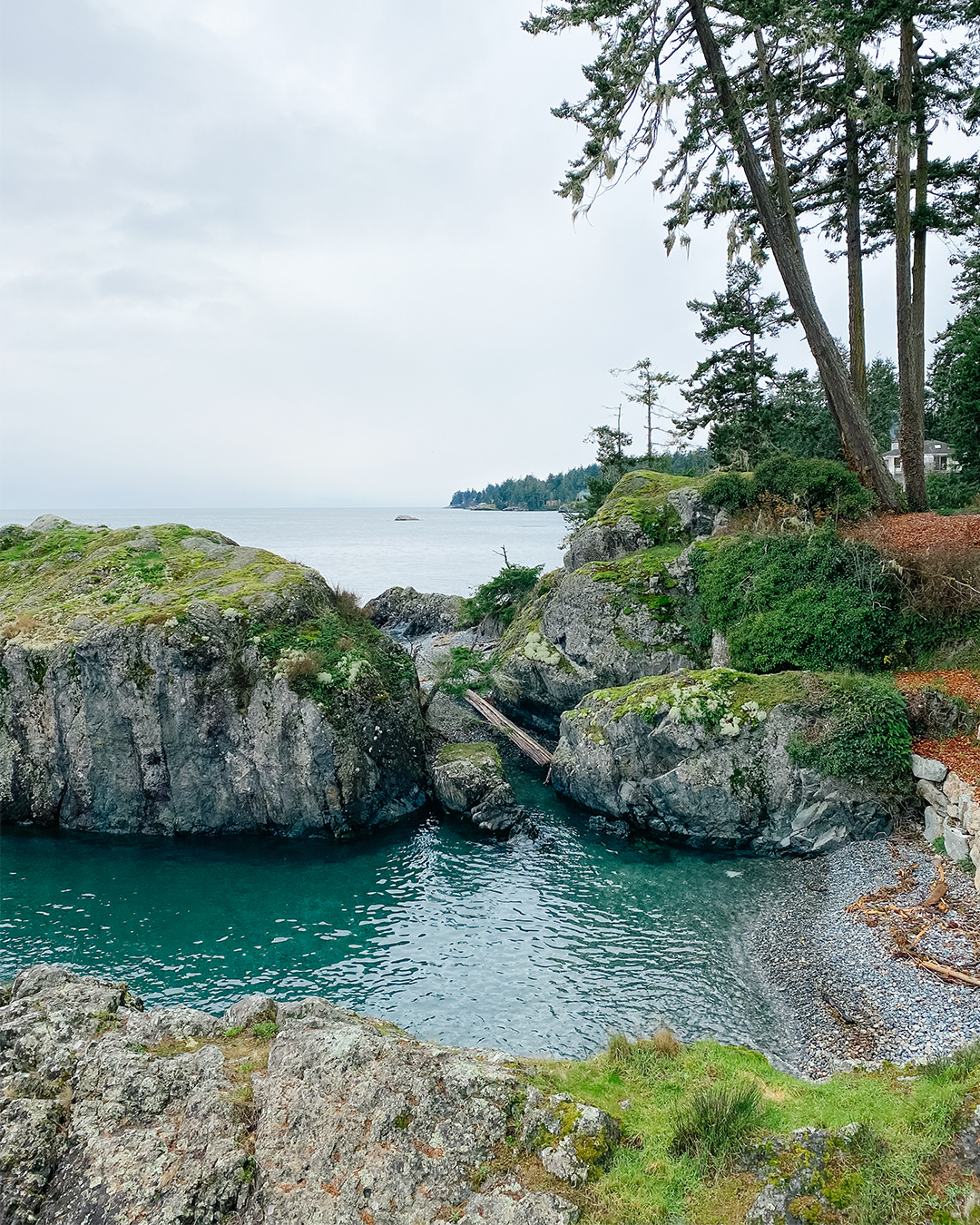 Sooke Beach Cove - Very Good Media - Sooke, British Columbia