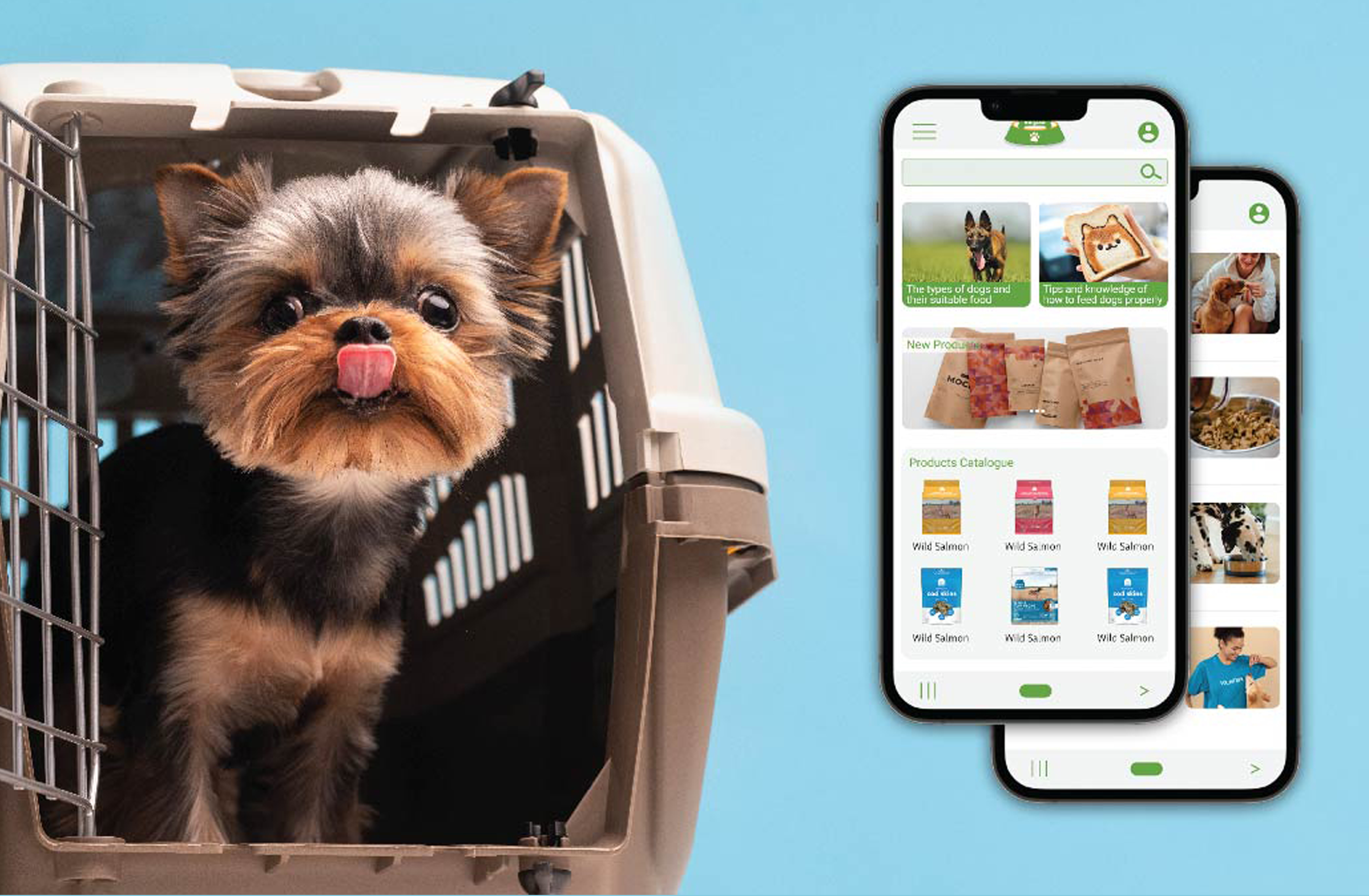 Organic Dog's Food