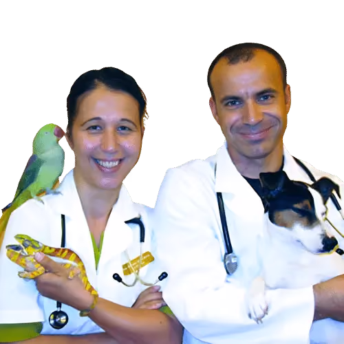 Dr. Eva
