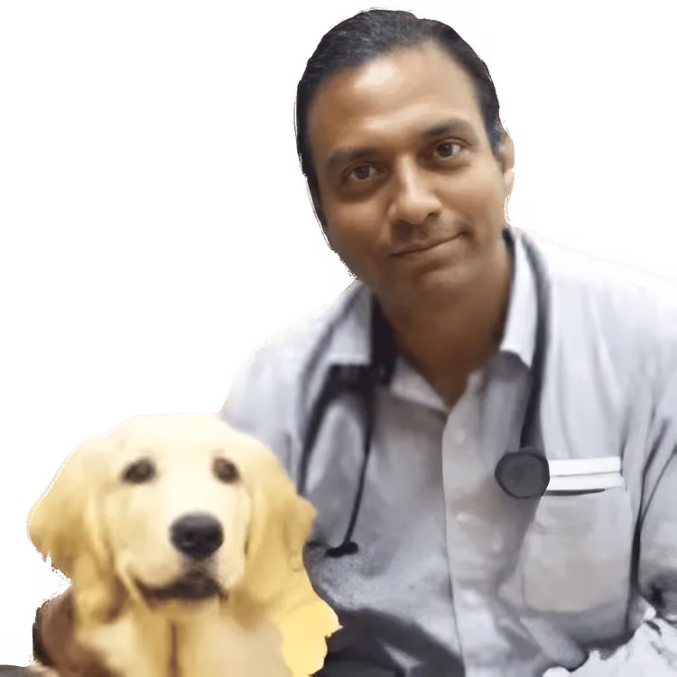 Rajan