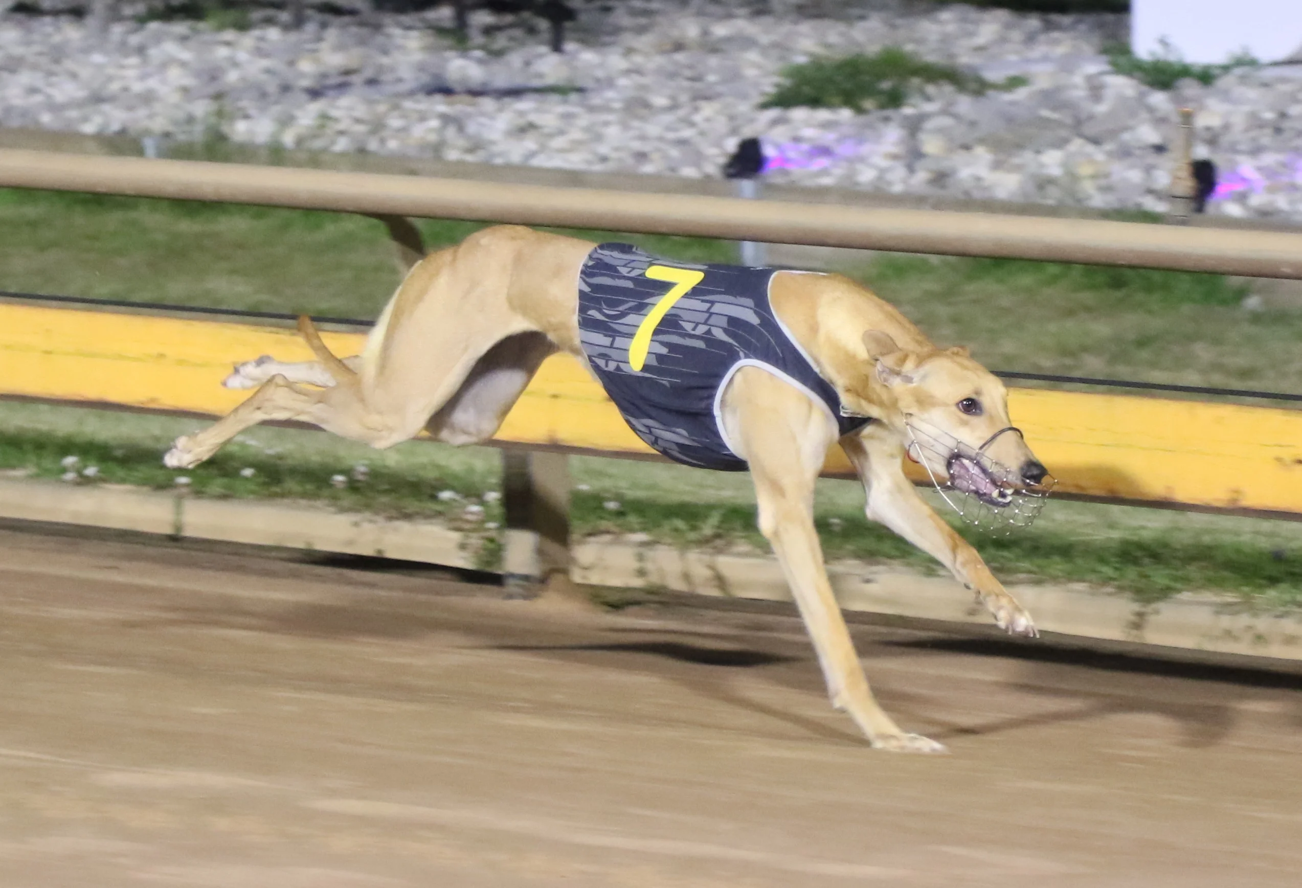 Distinction A Surprise Choice For Final Phoenix Slot