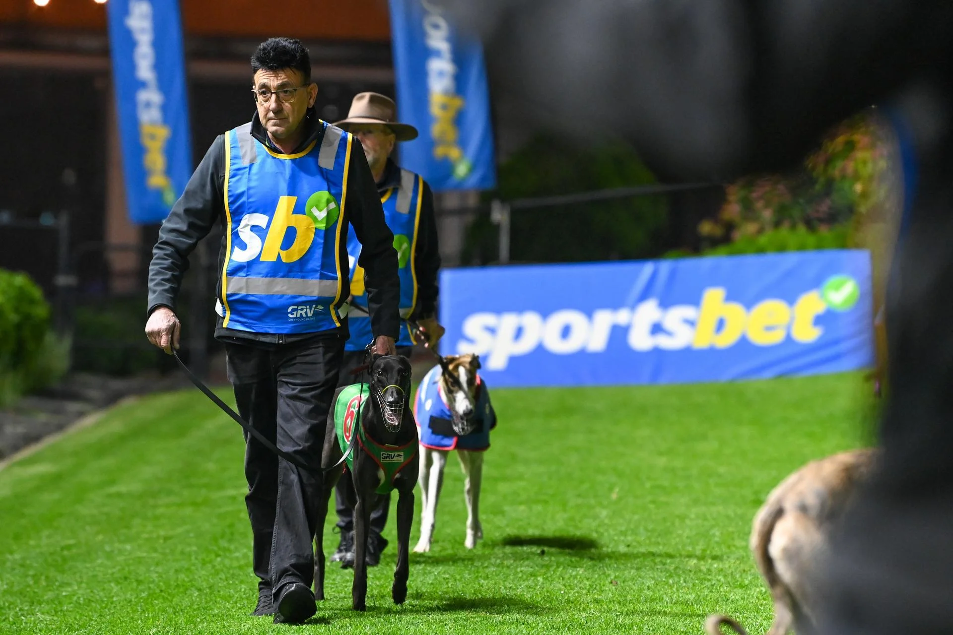 Deadly Avenger Secured for Phoenix by David Bourke Constructions