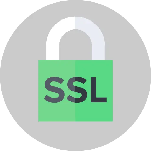 SSL Icon