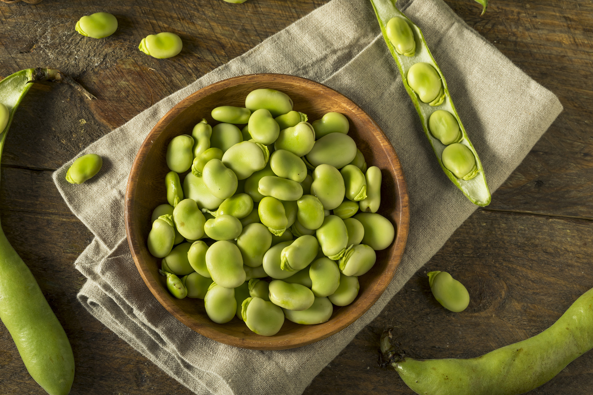 Canadian plant protein pioneer adds premium fava bean isolate to its portfolio