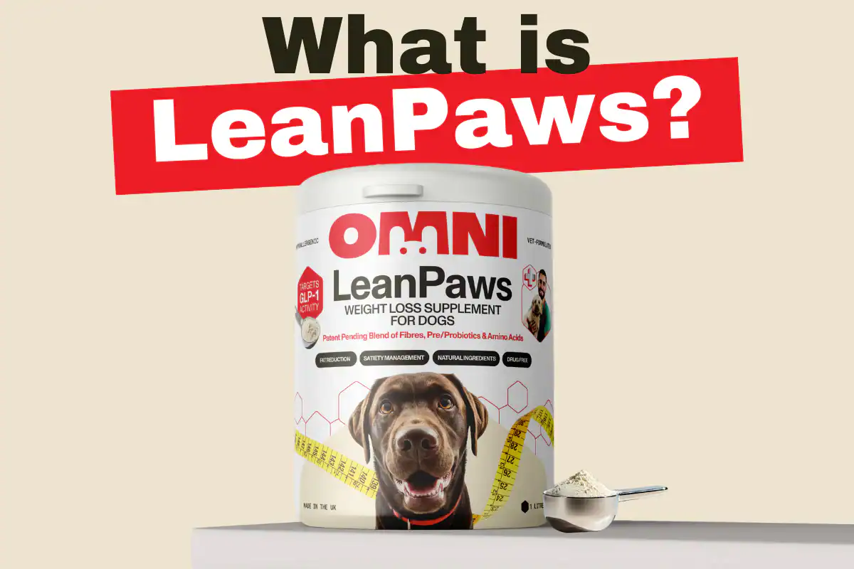 Clinical trials show promise for tackling canine obesity without pharmaceuticals