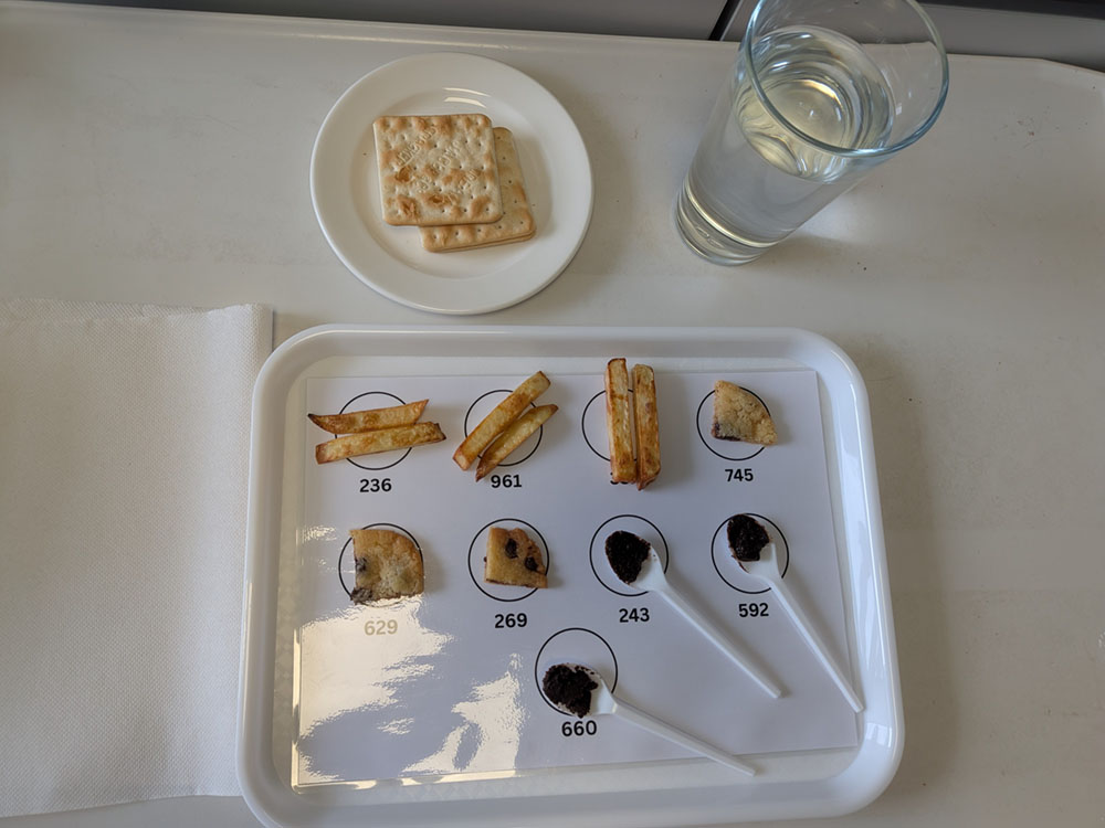Sun Bear Biofuture consumer trials put microbial cocoa butter alternative to the test