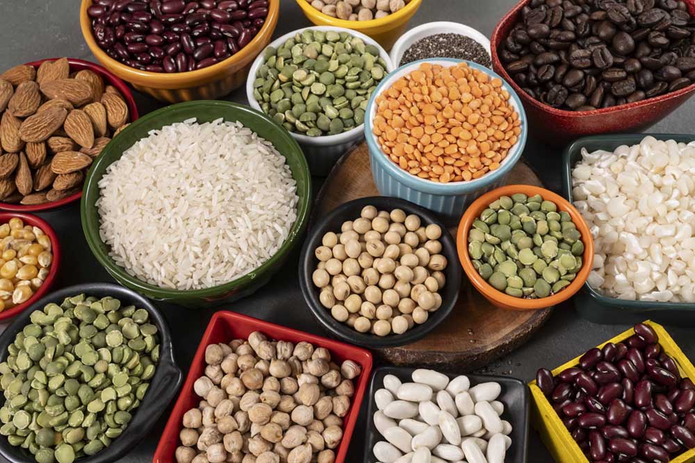 Europe cannot grow its way out of protein dependence