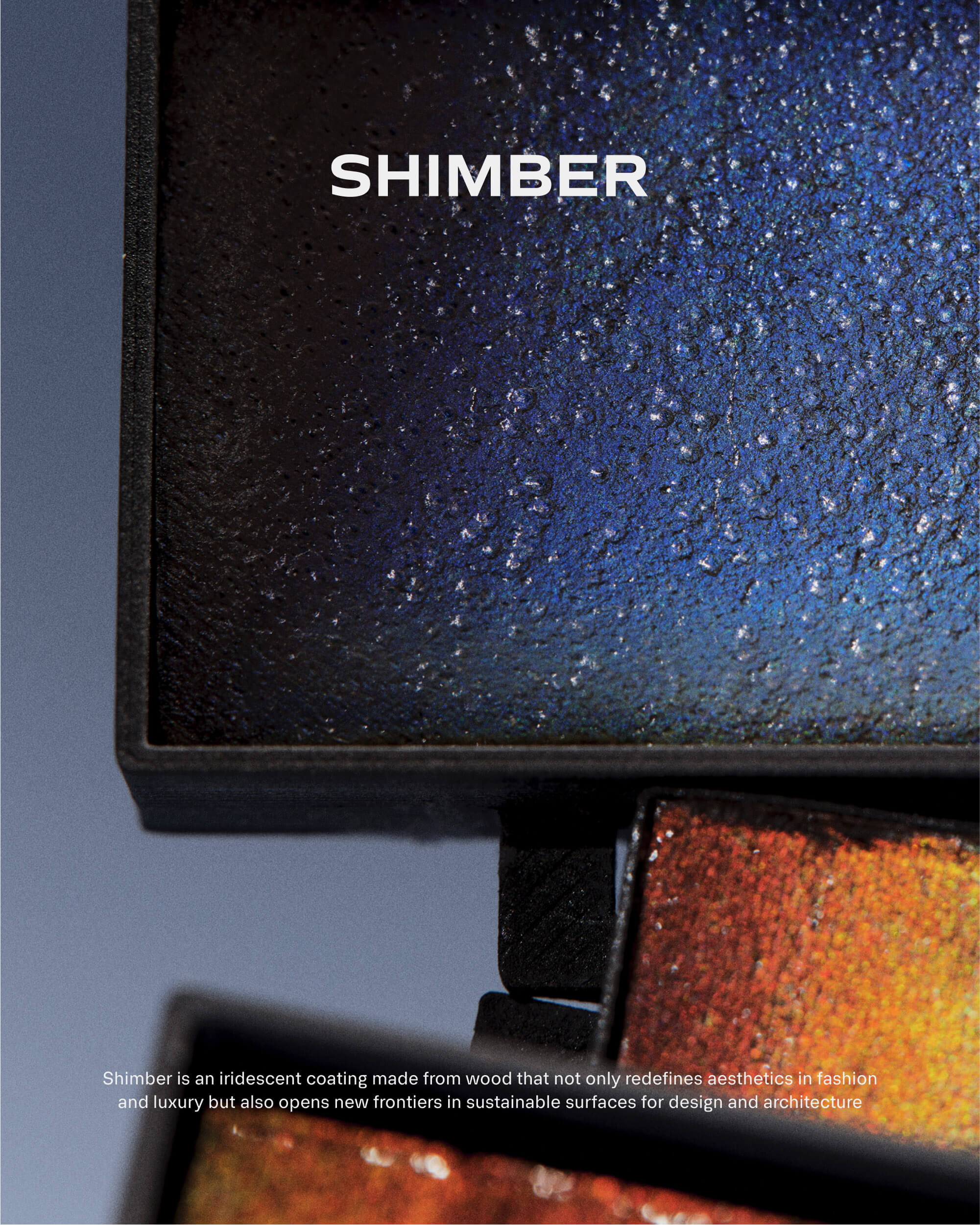 Shimber Brand Identity