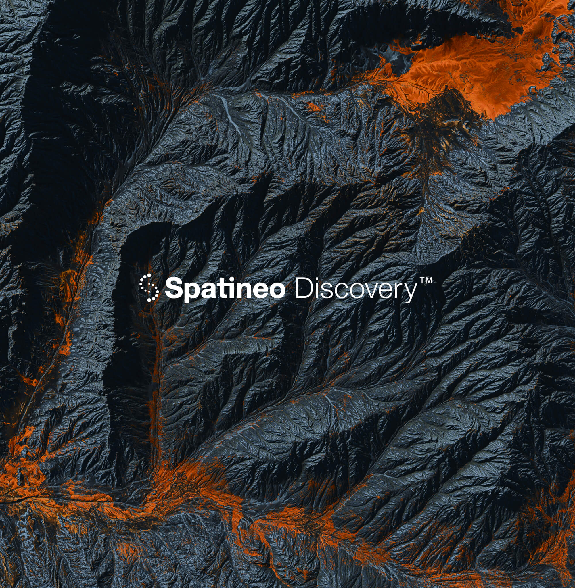 Spatineo Discovery Identity