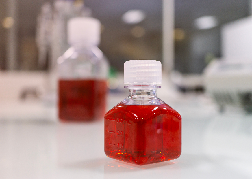 Latex beads vs K-One® coated gold nanoparticles