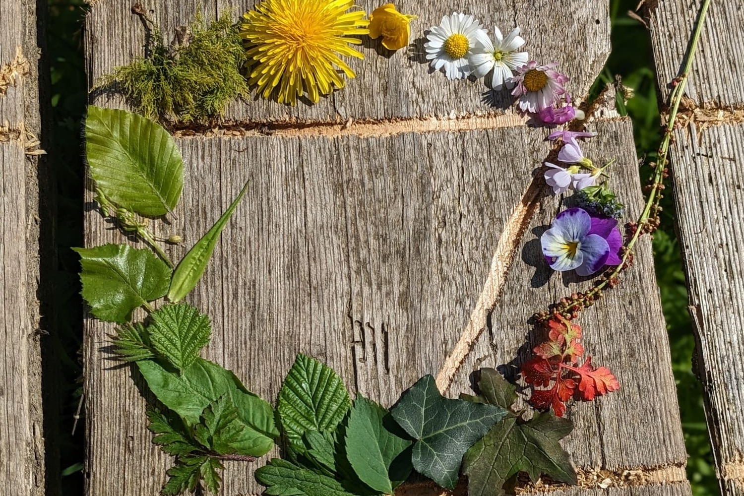 Farben und Farbstoffe aus der Natur