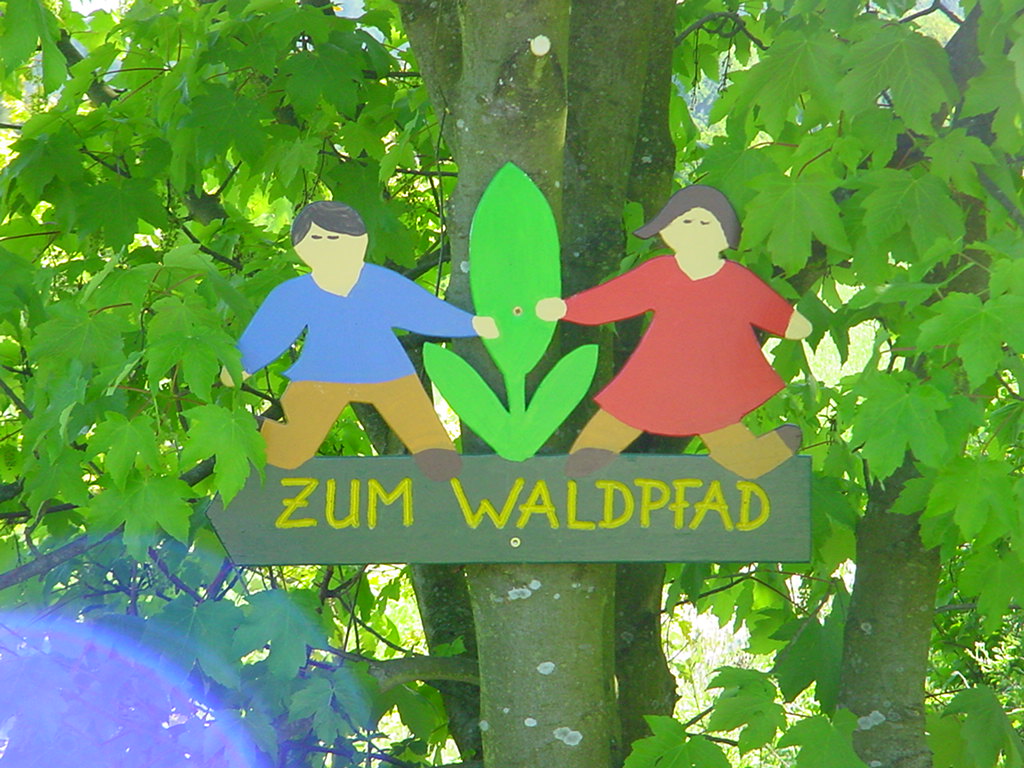 Waldpfad Hohenroth