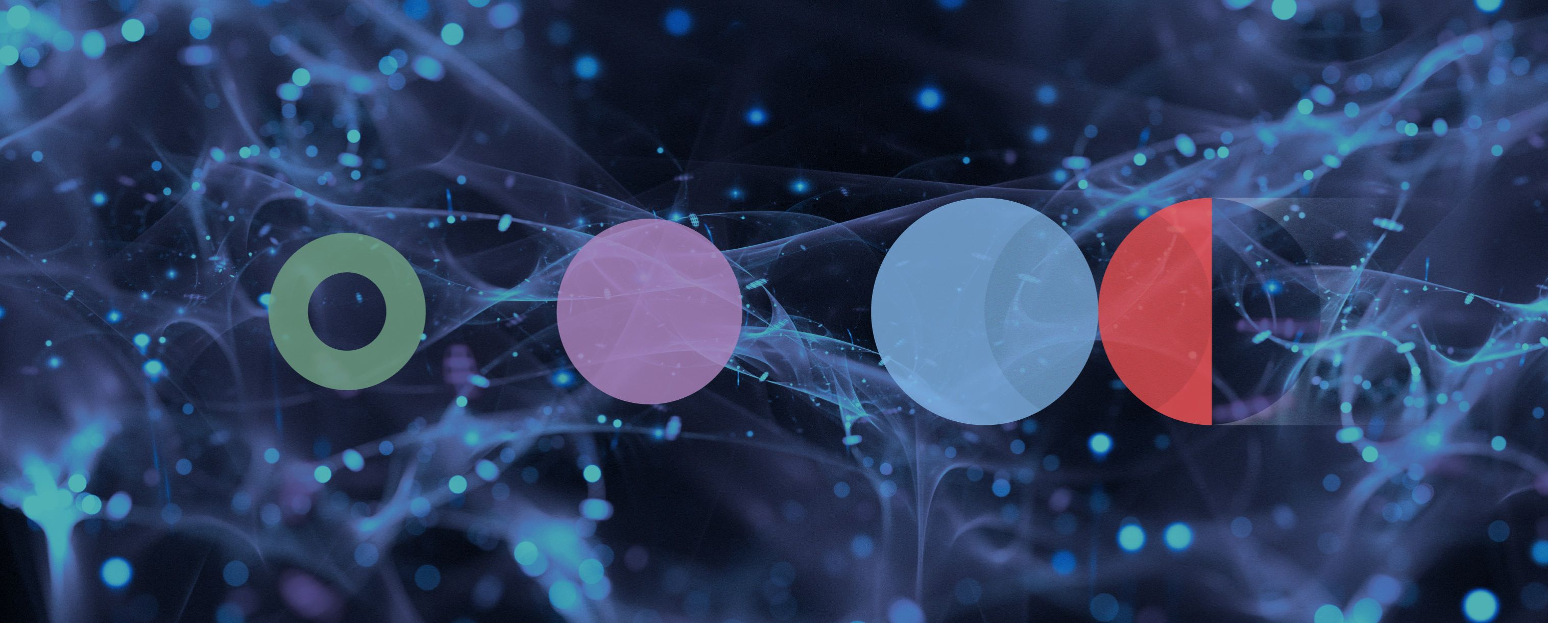 We built the networks. Now we must teach them to think
