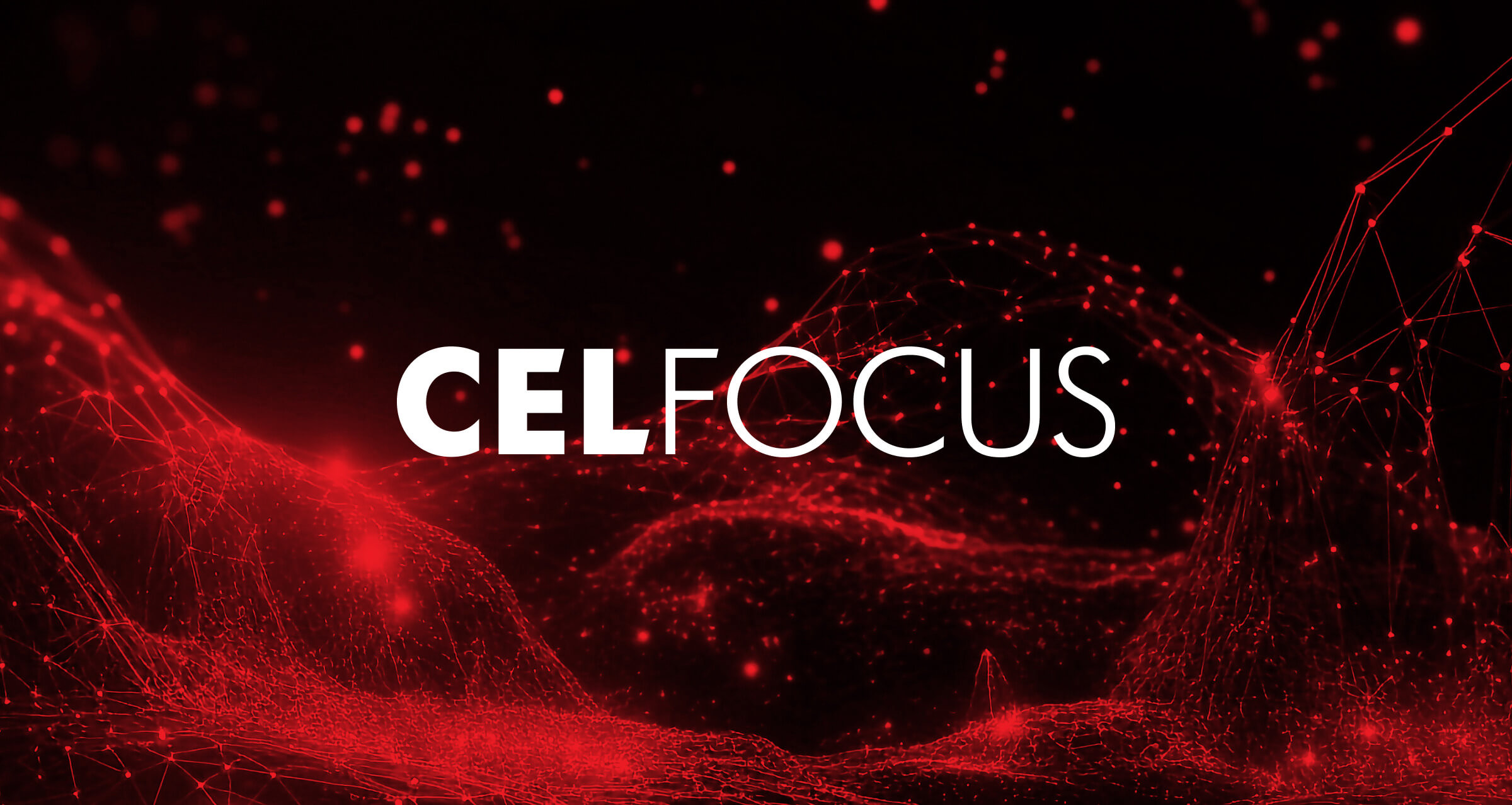 Celfocus logo (Portugal) — company profile in the Analytics Legends directory of SAP analytics service providers