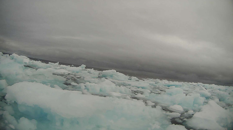 Field of Arctic sea ice captured by a saildrone.