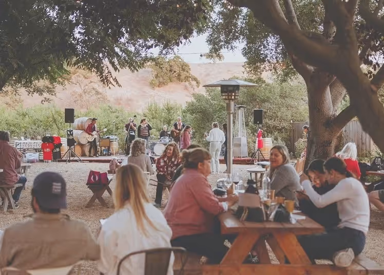 Guests enjoy drinks at picnic tables while a live band performs at an outdoor winery event under oak trees