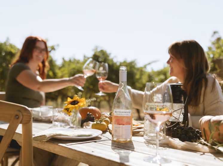 Two women toasting glasses of Buttonwood rosé wine at an outdoor vineyard table with sunflowers and grapes.